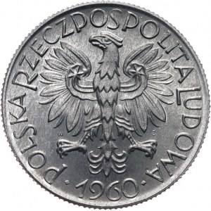 PRL 1944-1989, 5 złotych 1960