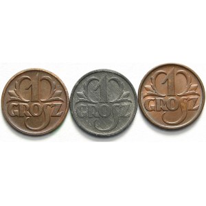 Polska, II Rzeczpospolita 1918-1939, zestaw 3 monet jednogroszowych