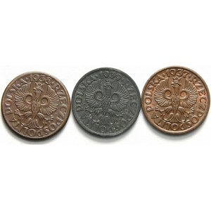 Polska, II Rzeczpospolita 1918-1939, zestaw 3 monet jednogroszowych