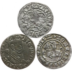 Polska, zestaw trzech drobnych monet XVI-XVII w