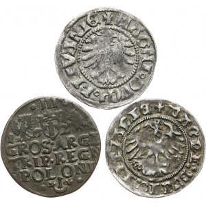 Polska, zestaw trzech drobnych monet XVI-XVII w