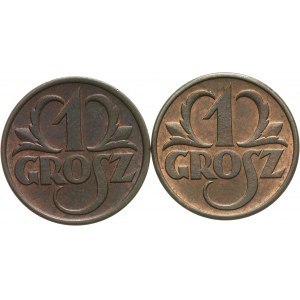Polska, II Rzeczpospolita 1918-1939, zestaw 2 monet 1 groszowych.
