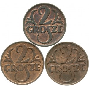 Polska, II Rzeczpospolita 1918-1939, zestaw 3 monet 2 groszowych.