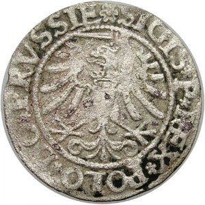 Polska, Zygmunt I Stary 1506-1548 , szeląg 1533, Elbląg