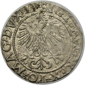 Polska, Zygmunt II August 1545-1572, półgrosz 1560, Wilno
