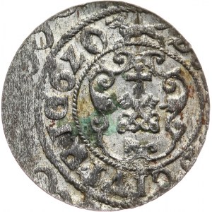 Polska, Zygmunt III Waza 1587-1632, szeląg 1620, Ryga