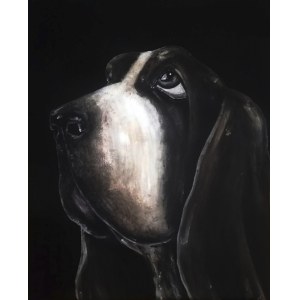 Aleksandra Lacheta, Basset, 2019