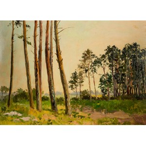 Leonard Winterowski (1868 Kraków - 1927), Pejzaż leśny