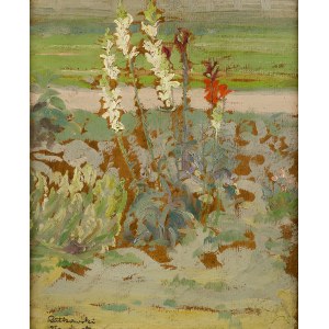 Karol Rutkowski (1885-1960), Kwiaty w ogrodzie w Sławinku