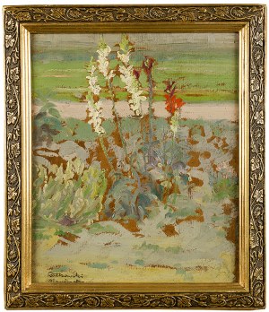 Karol Rutkowski (1885-1960), Kwiaty w ogrodzie w Sławinku