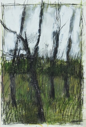 Jacek SIENICKI (1928-2000), Drzewa, 1996