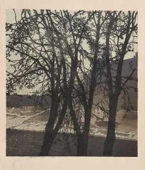 Wojciech JASTRZĘBOWSKI (1884-1963), Drzewa nad Wisłą, 1908