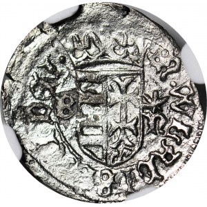 RR-, Władysław Warneńczyk 1442-1443 Denar Polsko-Litewsko-Węgierski w „dobrym srebrze”, menniczy
