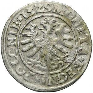RRR-, Zygmunt I Stary, Grosz 1529, Kraków, bez kwiatka, nienotowany