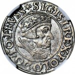 Zygmunt I Stary, Grosz 1538, Gdańsk, błąd POLODO