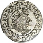 Zygmunt I Stary, Grosz 1539, Gdańsk,menniczy