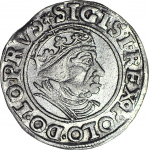 Zygmunt I Stary, Grosz 1539 Gdańsk, PRVS, piękny
