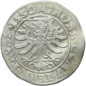 RR-, Zygmunt I Stary, Grosz 1530, Toruń, trójlistek, bardzo rzadki