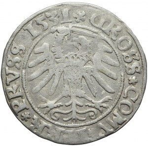 RRR-, Zygmunt I Stary, Grosz 1531, Toruń, dwa kółka