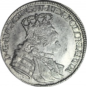 August III Sas, Ort 1754, popiersie buldogowate w zbroi
