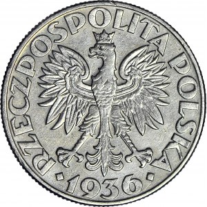 5 złotych 1936 Żaglowiec, ładny