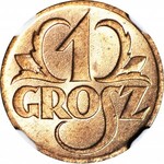 1 grosz 1923, menniczy, POSZUKIWANY kolor RD