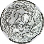 20 groszy 1923, Okupacja, mennicze, jasne