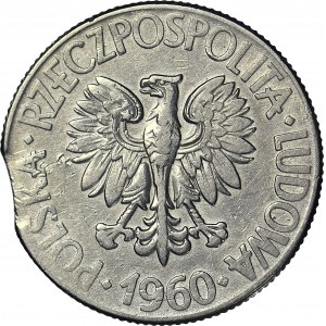 R-, 10 Złotych 1960 Kościuszko, DESTRUKT, błąd wykrawania