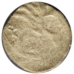 denar XIV-XV w, Pomorze Zachodnie, Stargard