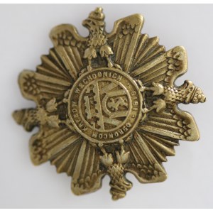 Odznaka : Obrońcom Kresów Wschodnich 1919