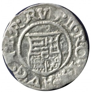 Denar 1598