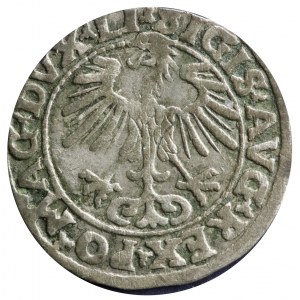 półgrosz 1555