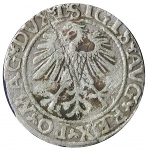 półgrosz 1560