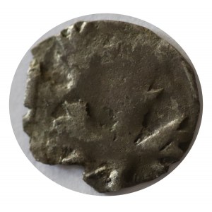 denar przed 1450, Pomorze Zachodnie, Pyrzyce