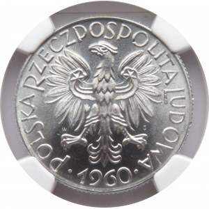 Polska, PRL, Rybak, 5 złotych 1960, wspaniały rewelacyjny egzemplarz, NGC MS66