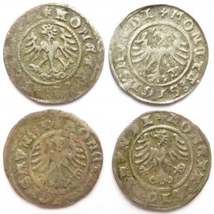 Zygmunt I Stary, lot czterech półgroszy 1507-1510, Kraków
