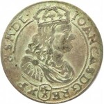 Jan II Kazimierz, szóstak 1667 TLB, Bydgoszcz, kwiatki nad tarczami