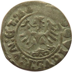 Świdnica, Ludwik Jagiellończyk, półgrosz 1524, Świdnica, ładny