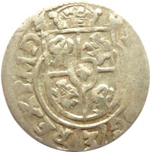 Zygmunt III Waza, półtorak 1615 herb Sas, Bydgoszcz, odwrócone litery N