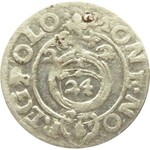 Zygmunt III Waza, półtorak 1622, herb Sas, Bydgoszcz, data 222