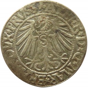 Prusy Książęce, Albrecht, grosz pruski 1544, Królewiec