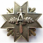 Łotwa/Niemcy (1919-1940), odznaka AIZSARGI (Obrońcy), srebro, sygnowana, rzadka