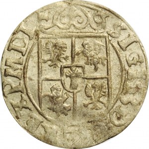 Zygmunt III Waza, półtorak 1628 półkozic w owalnej tarczy, Bydgoszcz, rzadki (R8)