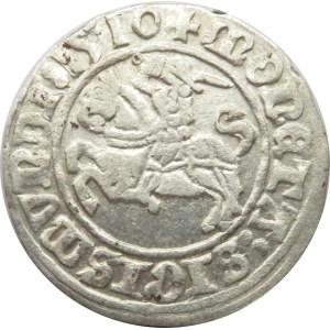 Zygmunt I Stary, półgrosz 1510, Wilno, ogon konia w kształcie S do góry, szerokie cyfry daty