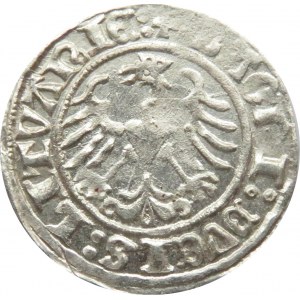 Zygmunt I Stary, półgrosz 1510, Wilno, ogon konia w kształcie S do góry, wąskie cyfry daty