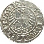 Zygmunt I Stary, półgrosz 1510, Wilno, ogon konia w kształcie S do góry, wąskie cyfry daty