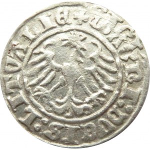 Zygmunt I Stary, półgrosz 1510, Wilno, ogon konia w kształcie S do góry