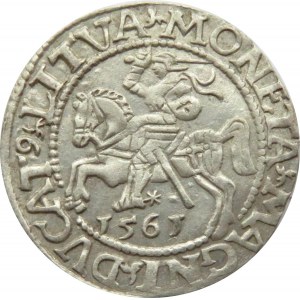 Zygmunt II August, półgrosz 1561, Wilno, piękny