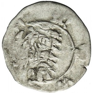 Śląsk, Zygmunt Luksemburski 1419–1437, Halerz bez daty, Wrocław, lilia, rzadki