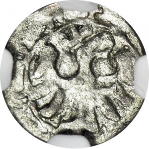 R-, Kazimierz III Wielki 1333-1370, Denar portretowy koronny